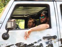 Jeep JK Clear Panorama Hardtop Panel for 09-18 Wrangler JK 2/4 Door ClearLidz