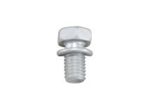 T8 And V6 Bolt For Adjuster Lock Yukon Gear &amp;amp; Axle